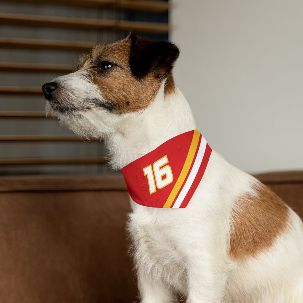 Charles Leclerc Dog Bandana - Ferrari F1 Dog Collar